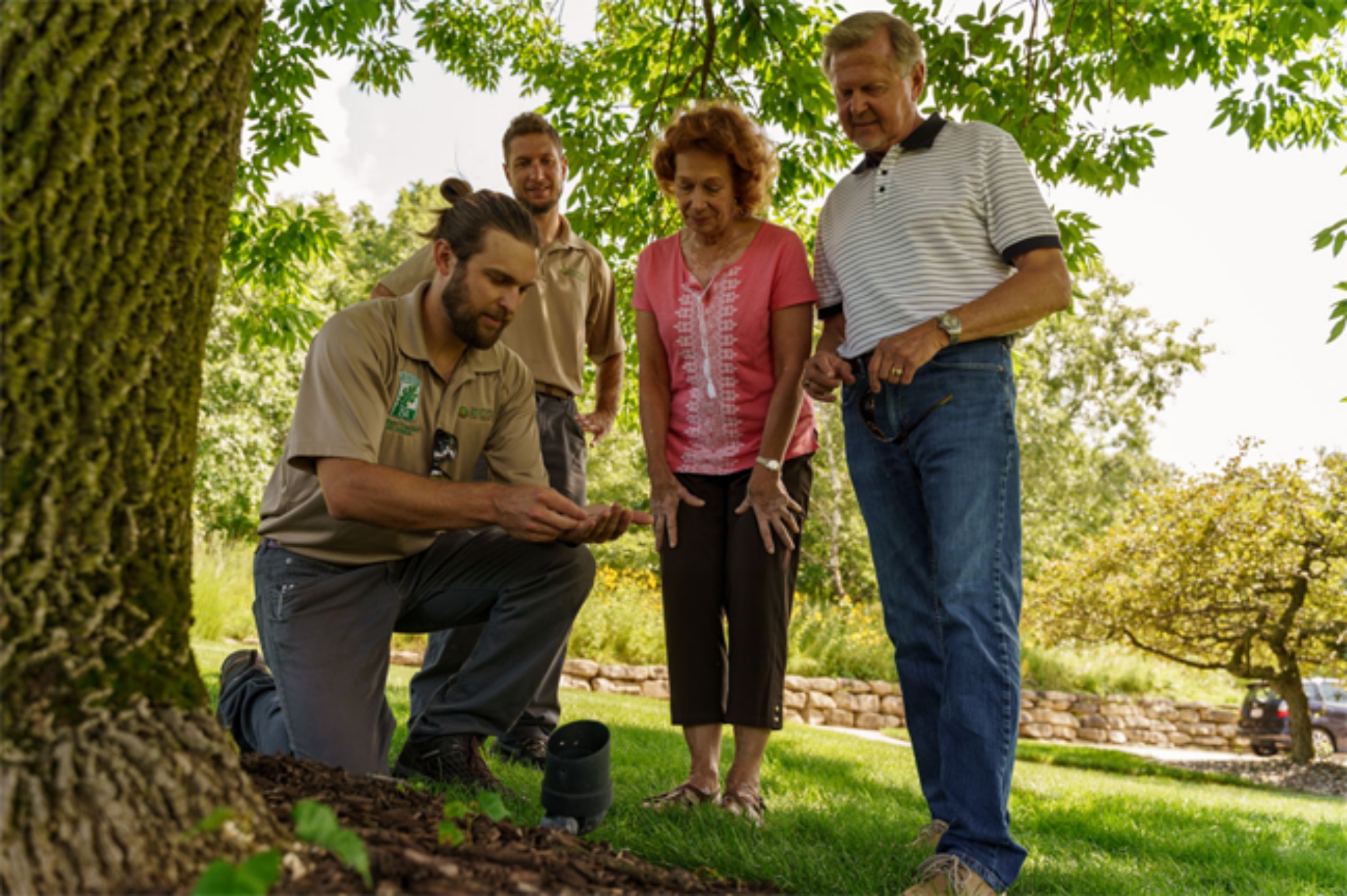 ECO_services_image1_1 Tree care services