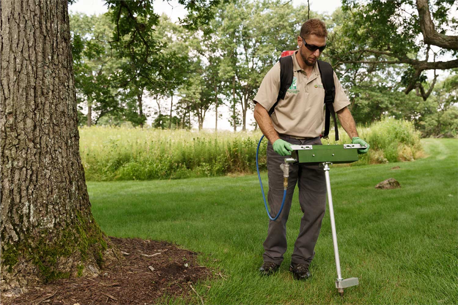 Eco Tree Carbon Sequestration Carbon Sequestration Using Nano Technology in Madison, WI