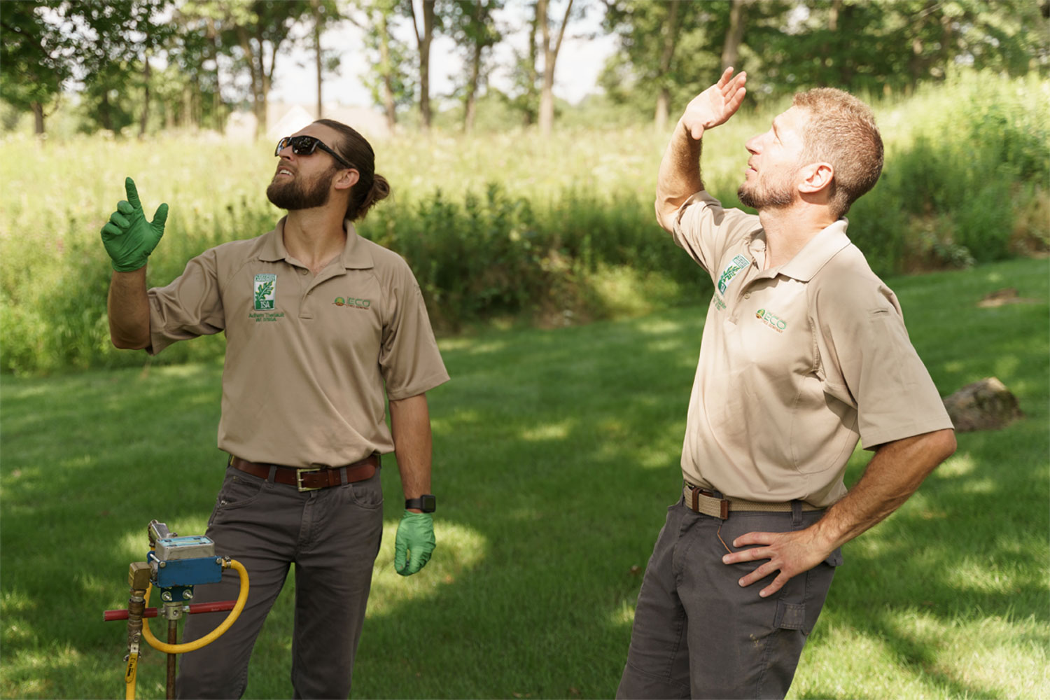 Certified Ecologists Plant Nutrition Experts in Madison, WI