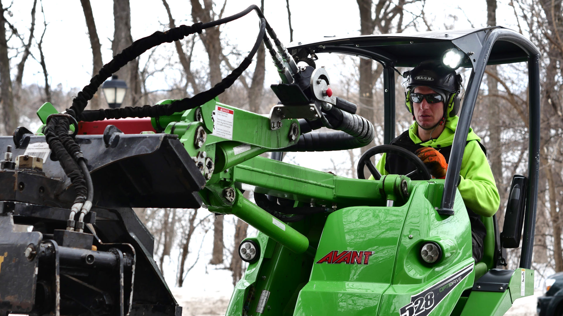 tree-care-services tree-care-services