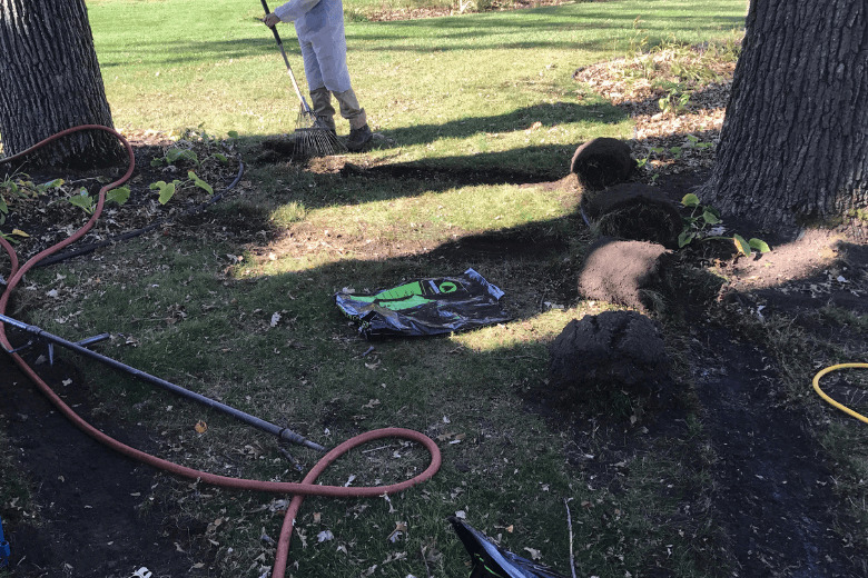 man air spading a tree