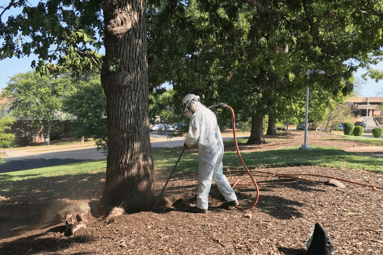 air spading a mature tree