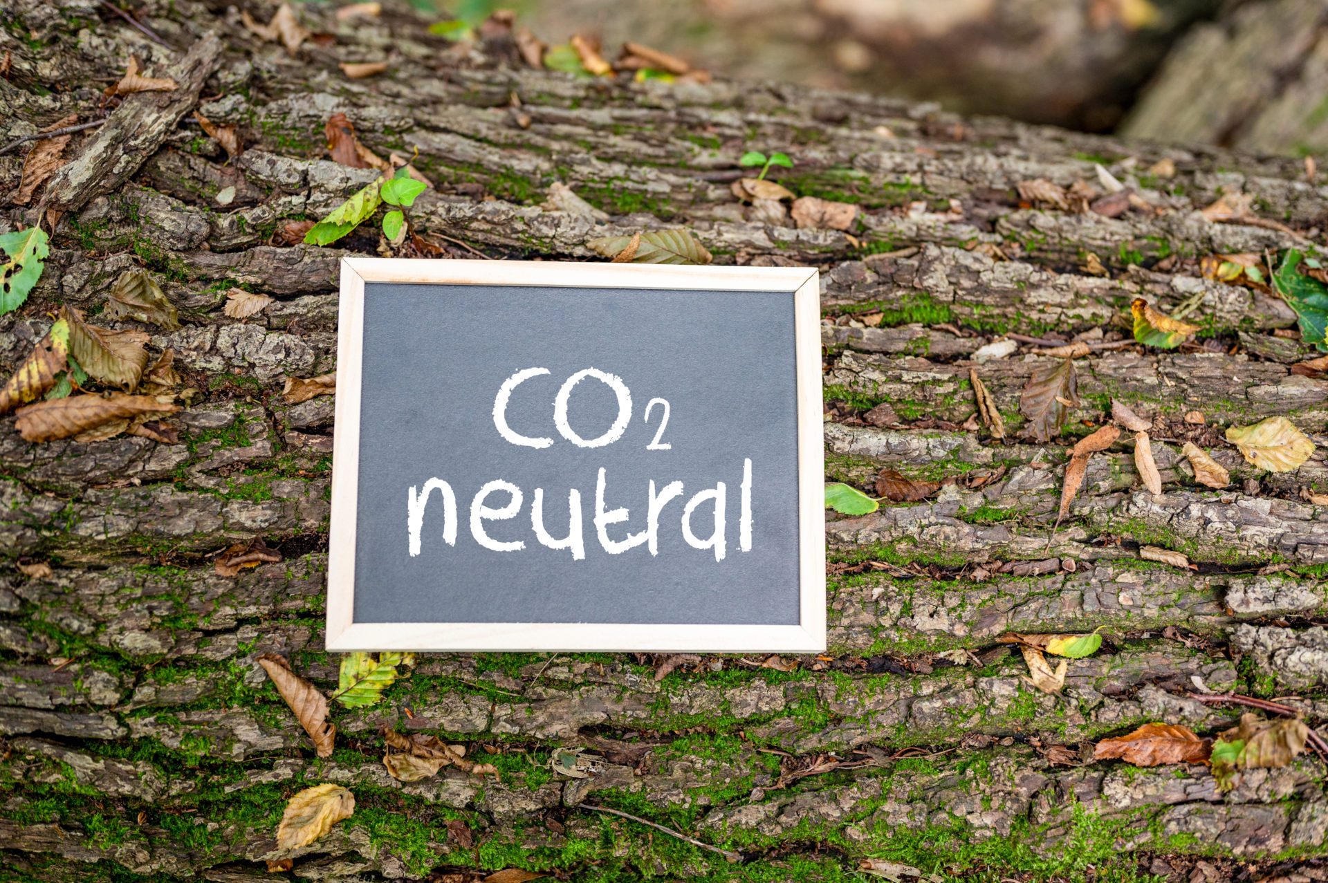 'co2,Neutral',Written,On,A,Board,On,A,Tree,Trunk