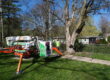 A worker in safety gear stands near a large tree and a parked Easylift ECO tree service lift on a grassy lawn in a residential area, showcasing professional tree trimming Madison services with houses and trees in the sunny background.
