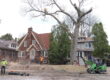 A crew of Eco Tree Certified Arborist removing a very large red oak tree.