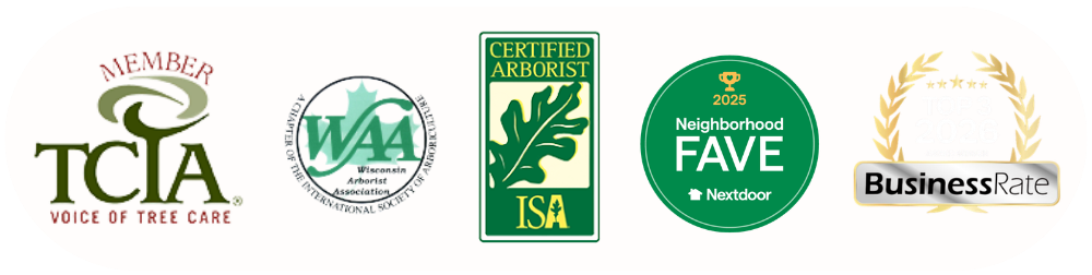 Five award and membership badges for madison tree care services—TCIA Member, WAA, Certified Arborist ISA, 2025 Nextdoor Neighborhood Fave, and 2026 BusinessRate Top 3—are displayed side by side.